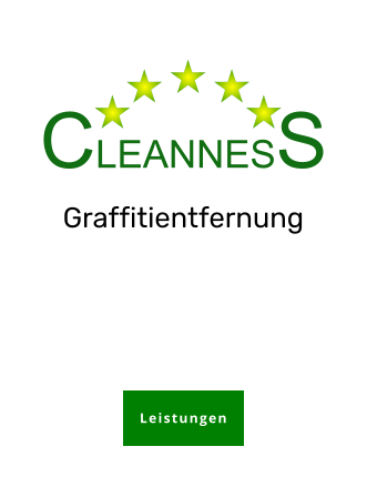 CLEANNESS Graffitientfernung Leistungen Leistungen